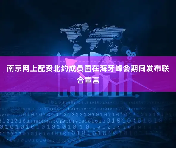 南京网上配资北约成员国在海牙峰会期间发布联合宣言