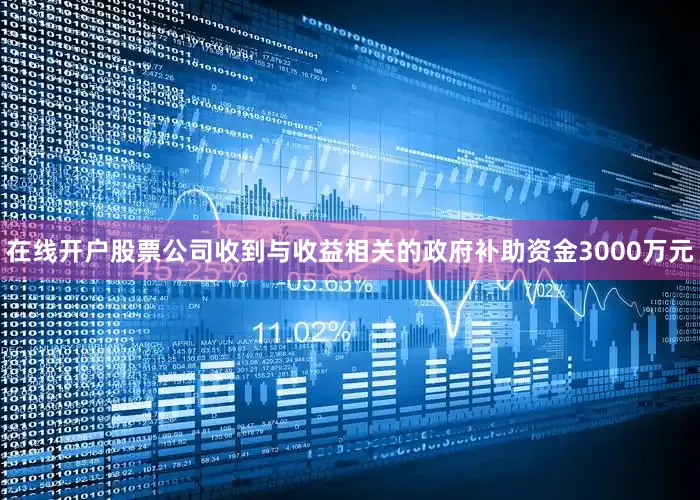 在线开户股票公司收到与收益相关的政府补助资金3000万元