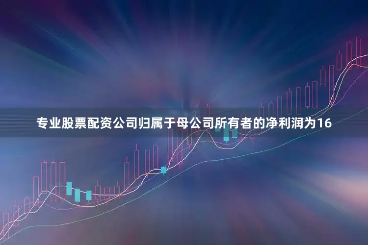 专业股票配资公司归属于母公司所有者的净利润为16