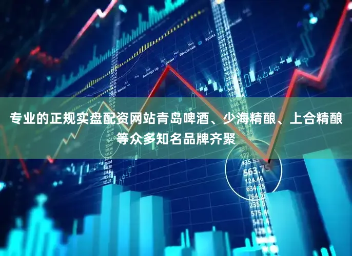 专业的正规实盘配资网站青岛啤酒、少海精酿、上合精酿等众多知名品牌齐聚
