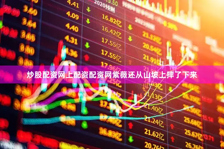 炒股配资网上配资配资网紫薇还从山坡上摔了下来