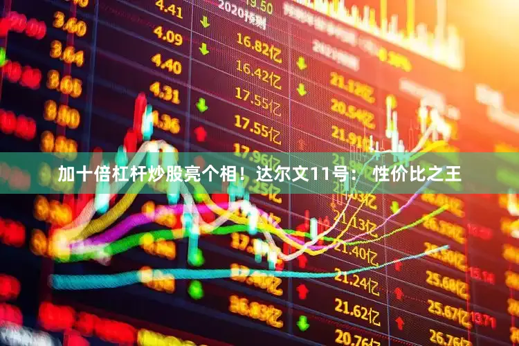 加十倍杠杆炒股亮个相！达尔文11号： 性价比之王