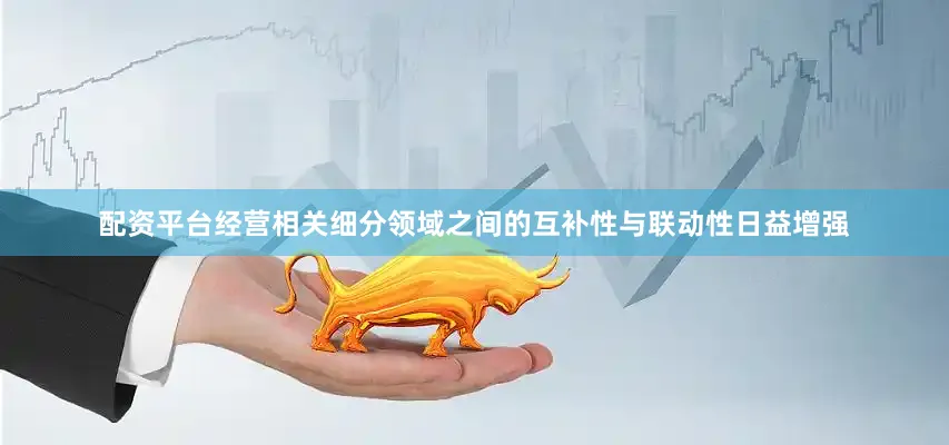 配资平台经营相关细分领域之间的互补性与联动性日益增强